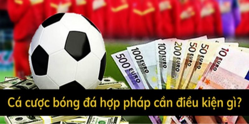 Những tiêu chuẩn giúp nhận diện một nhà cái cá cược hợp pháp