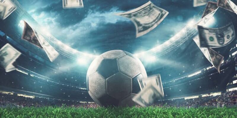 Lưu ý quan trọng dành cho thành viên mới