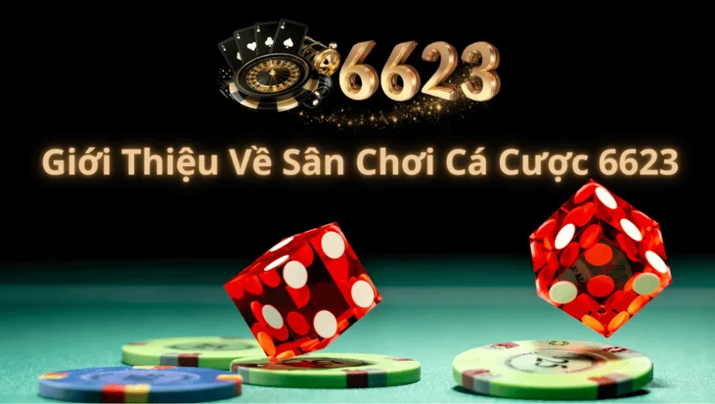 giới thiệu 6623
