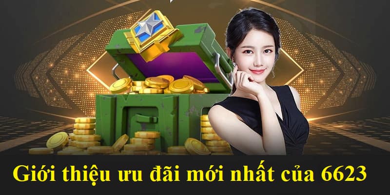 Đôi nét về chính sách ưu đãi mới nhất của 6623