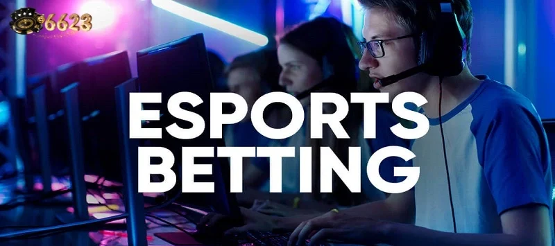 Ảnh minh hoạ: Thông tin về cá cược Esports