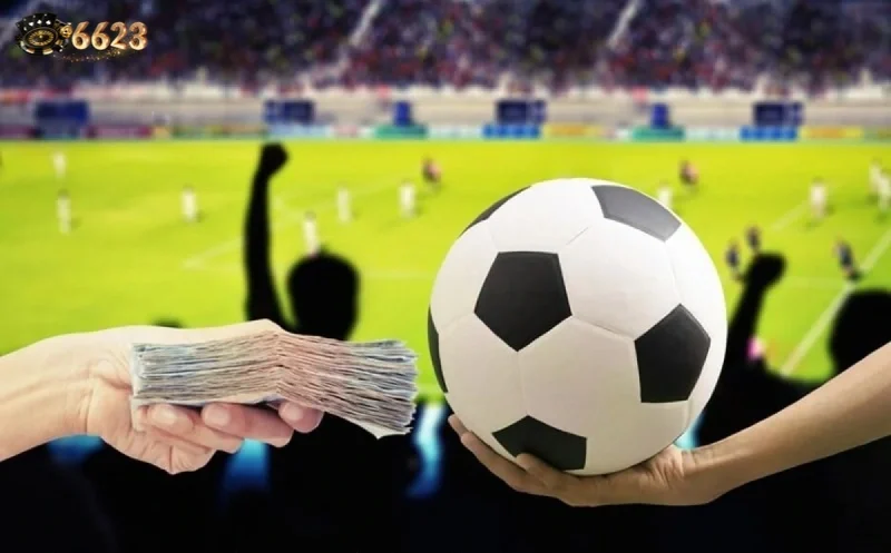 Ảnh minh hoạ: Cá độ bóng đá mở ra nhiều cơ hội kiếm tiền nếu biết cách chơi