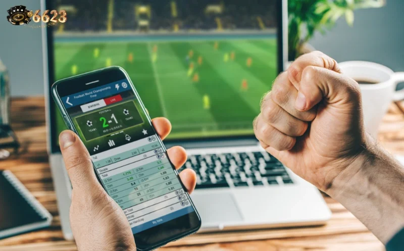 Ảnh minh hoạ: Cách phân bổ vốn cược dài hạn