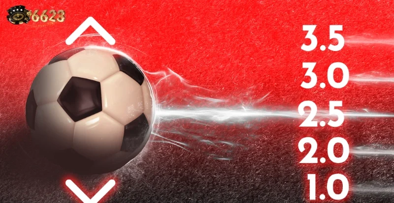 Ảnh minh hoạ: Phân loại các loại cược kèo tài xỉu phổ biến