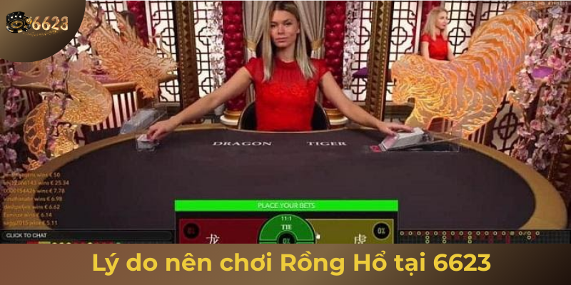 Ảnh minh hoạ: Lý do nên chơi rồng hổ live tại 6623