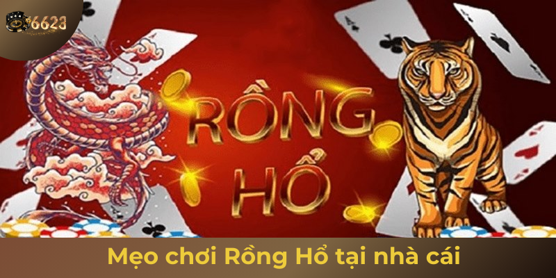 Ảnh minh hoạ: Mẹo chơi tại sảnh rồng hổ live 6623