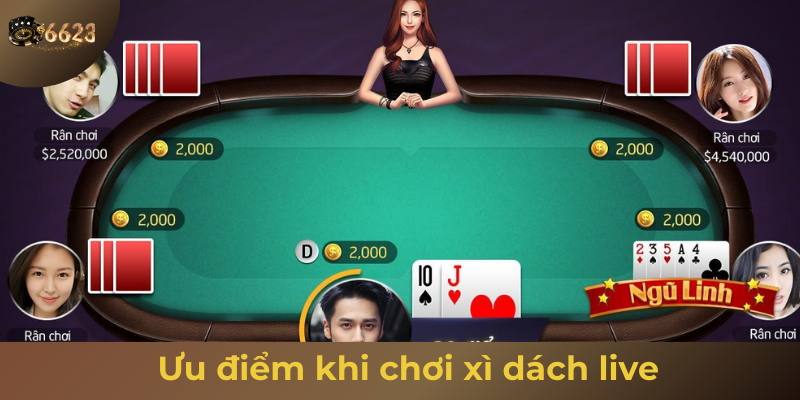 Ảnh minh hoạ: Ưu điểm khi chơi tại sảnh xì dách live 6623