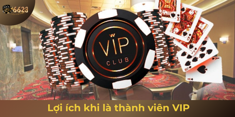 Ảnh minh hoạ: Lợi ích khi là thành viên Vip 6623